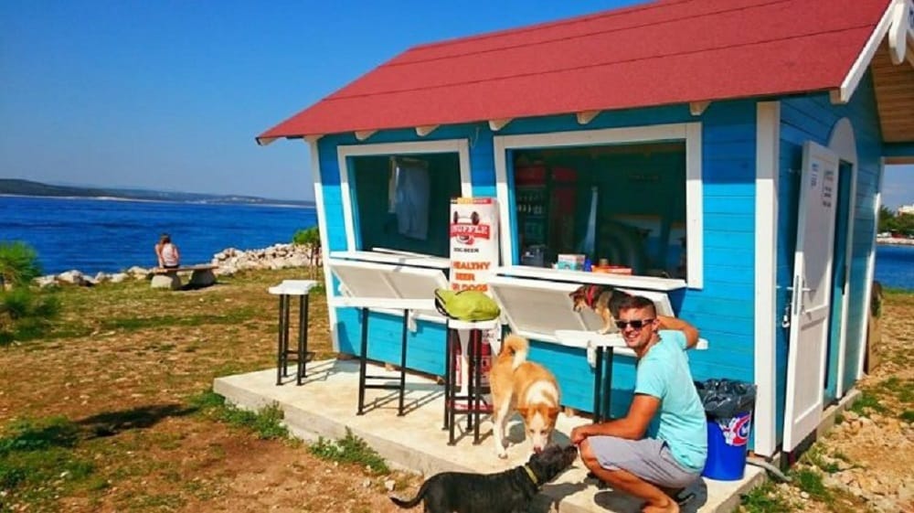 This Dog bar serves beer ice cream and pizzas to your pet