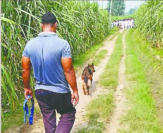 Farmer's killing in farm