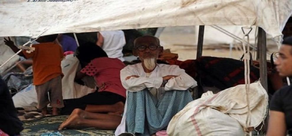 no one knows the pain of rohingya muslim in bangldesh
