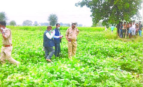 Sweeping the plight of the woman's body near Chaki