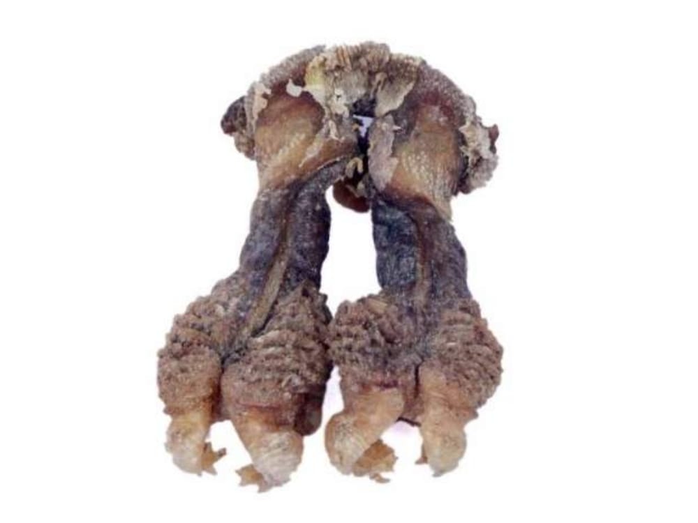 online organ sale in the name of herbal jadi