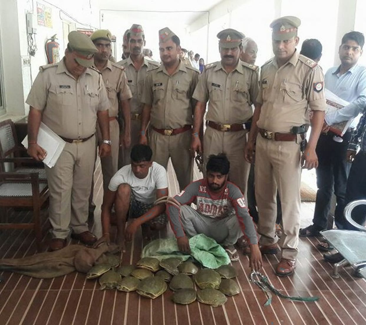 Kachu's smuggling revealed, brother-in-law arrested
