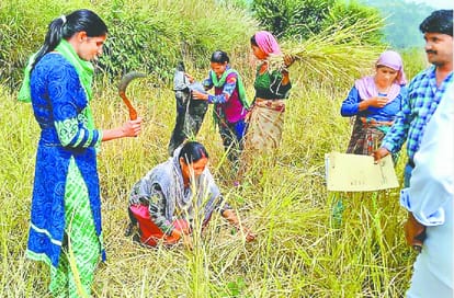 IAS officer sonia did work farmar 