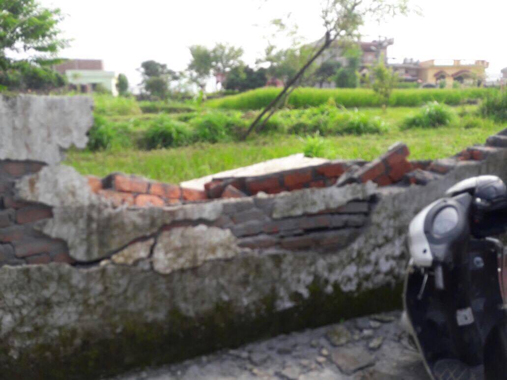 wild elephants come at shiva temple campus