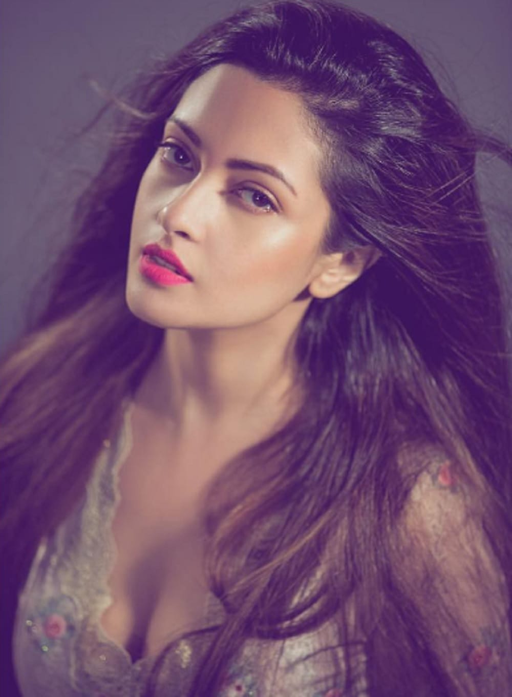 riya sen's dog found in noida