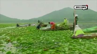 LAKE AND WATERWAYS DEVELOPMENT AUTHORITY LAUNCHED OPERATION TO CLEAN DAL LAKE