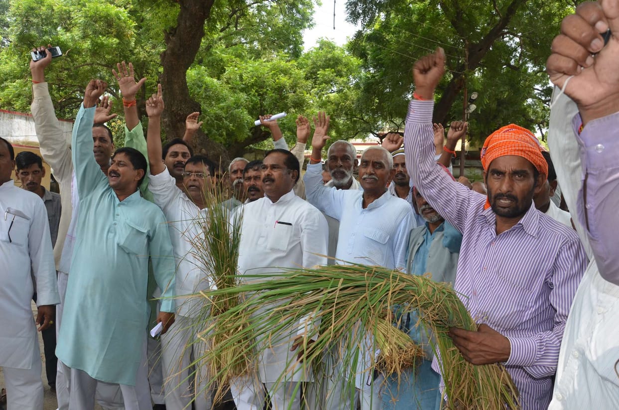 Performance of farmers for electricity, water