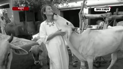 foreign women are living in the service of livestock animals in india. 