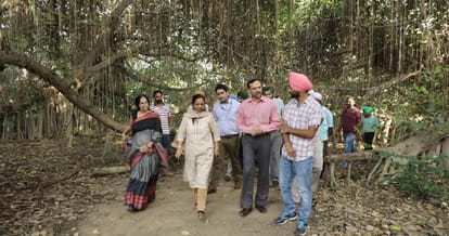 unique tree, 350 years old tree in india