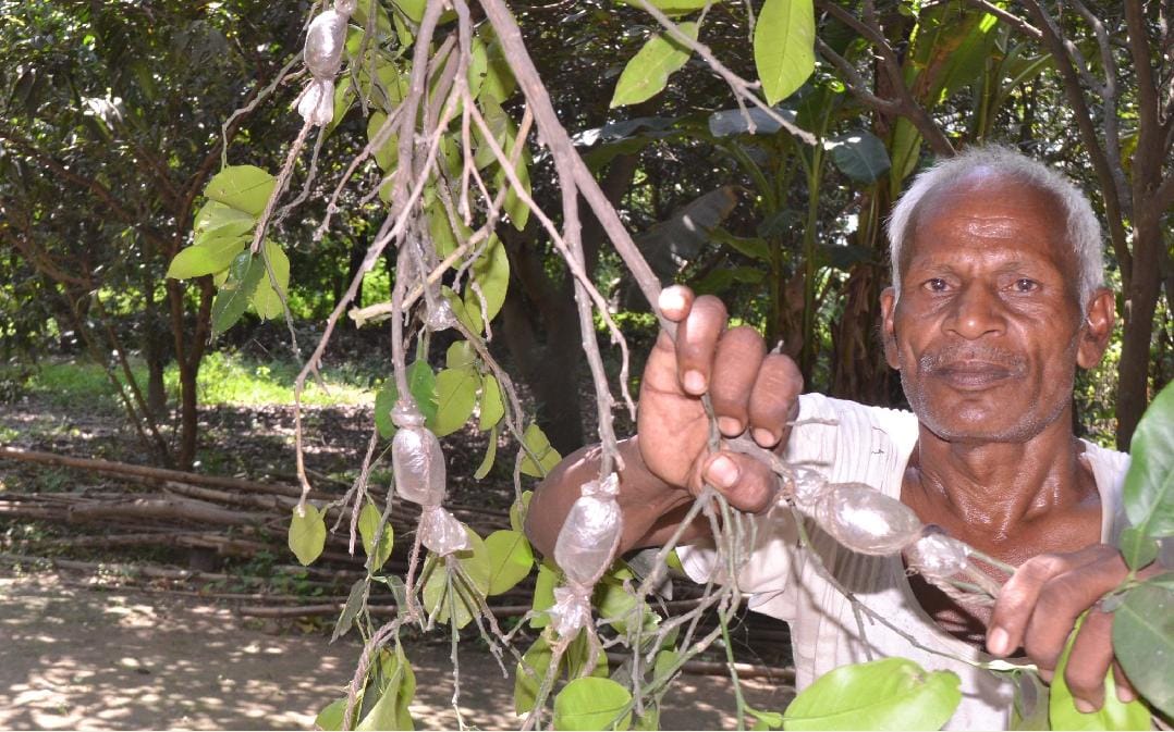 Ramayutar farming less than Agricultural University