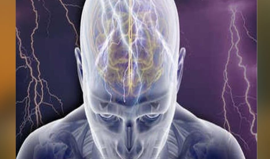 vehicles pollution and its effects pollution affects brain function claims University of California study