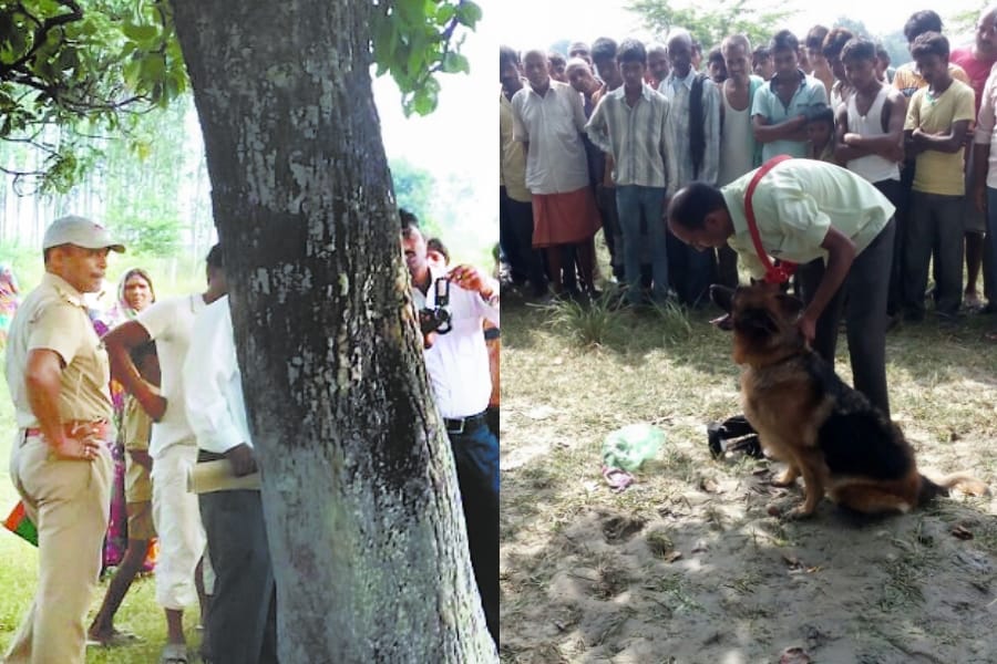 A student kidnapped and killed in sultanpur.