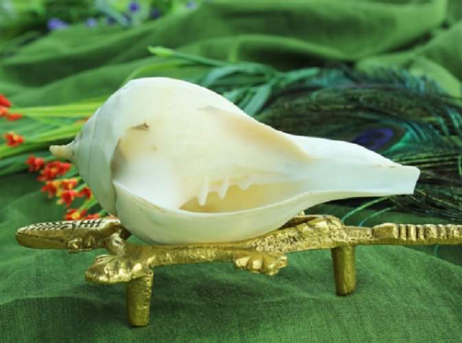  know health benefits of blowing shankh