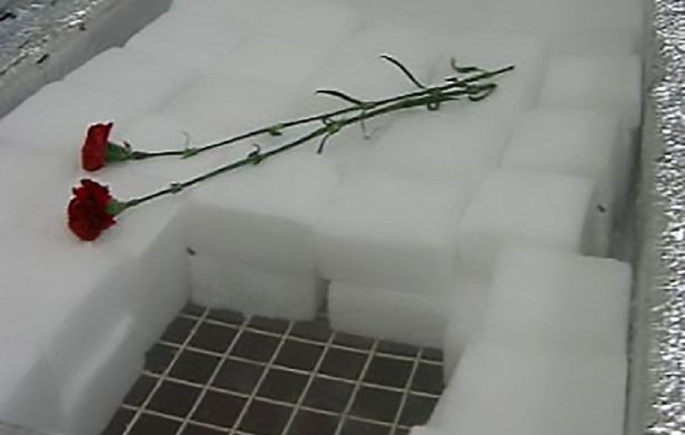 Bizarre Funeral Service Where Dead People And Pets Will Be Launched Into Space