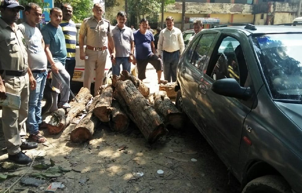 A car with a well of wood, by car