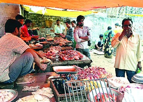 Amateurs cheat mutton chicken