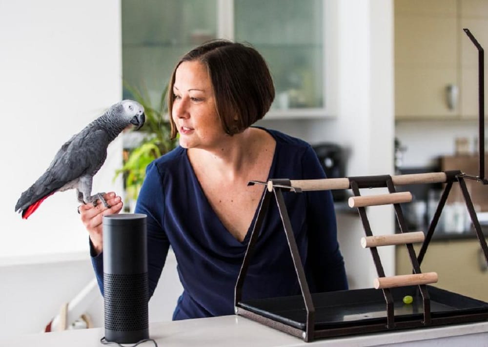 London parrot does online shopping by mimicking owner