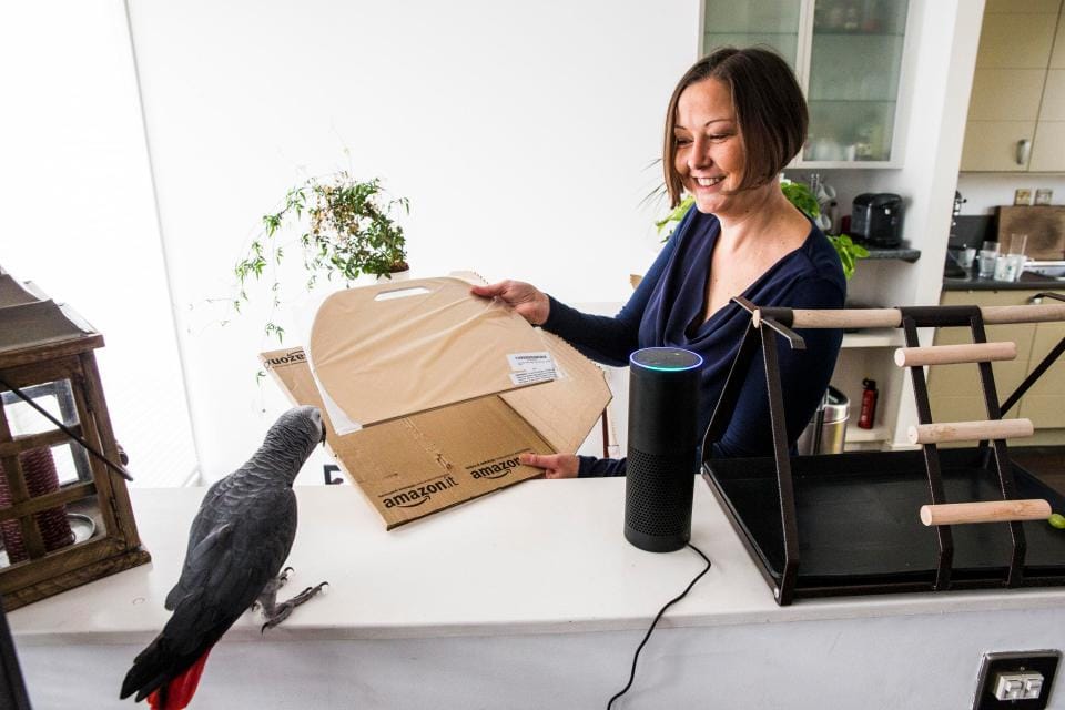 London parrot does online shopping by mimicking owner
