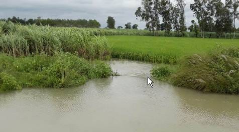 लगातार बारिश से कहीं राहत तो कहीं आफत