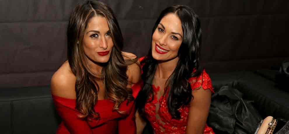 bella twins agrees on comeback in next year