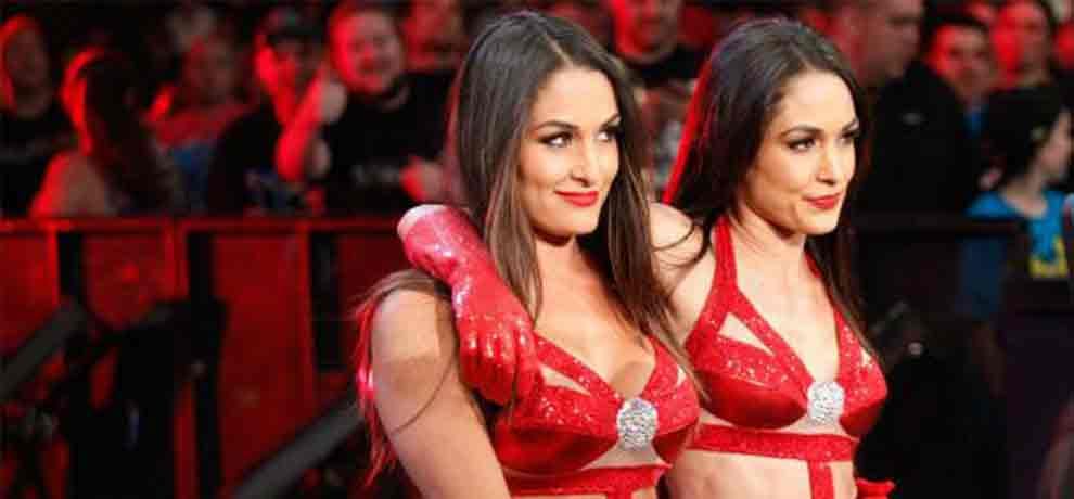 bella twins agrees on comeback in next year