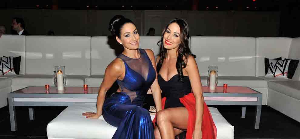 bella twins agrees on comeback in next year