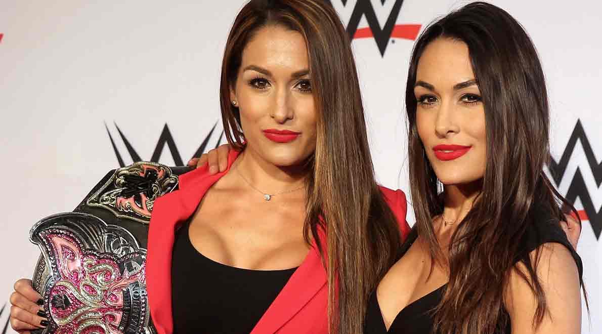 bella twins agrees on comeback in next year
