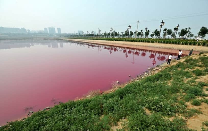 china dead sea turns pink and green, see pictures