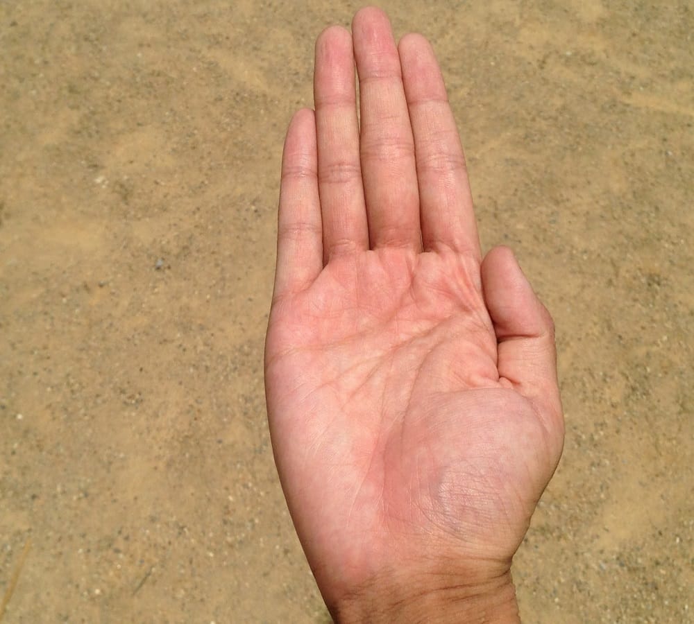 according to samudrik shastra these lines on palm make foreign trip