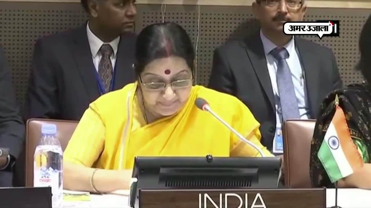 सुषमा स्वराज, पाकिस्तान 