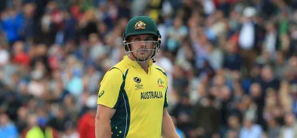 david warner hints about aaron finch comeback