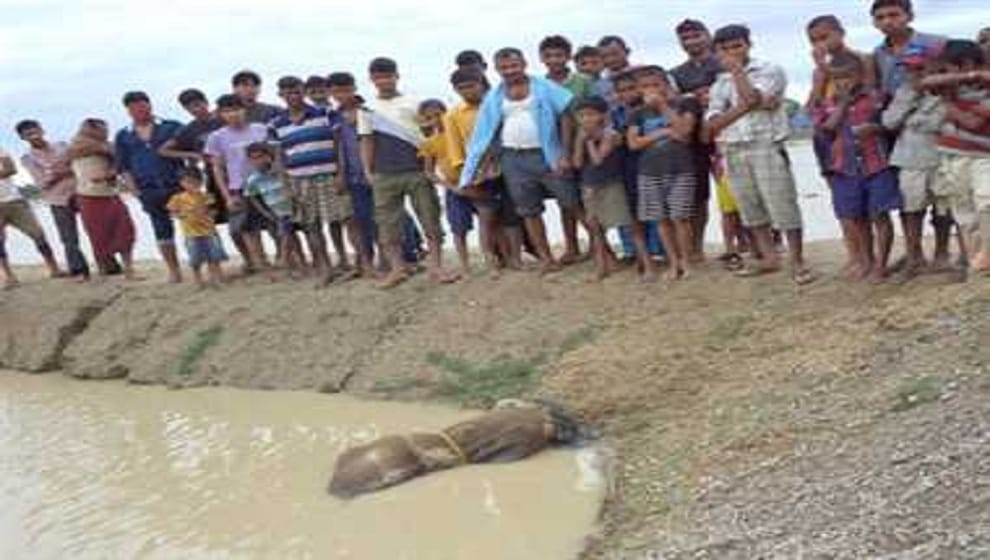 Family members killed the girl and threw the body into the pond In Gorakhpur