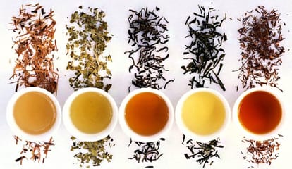 Wine made of Tea prepared at Assam Tocklai Tea Research Institute