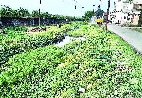 Drawn to the dry canals