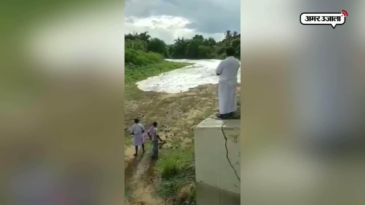 कावेरी नदी, वीडियो वायरल