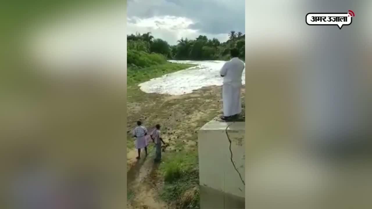 कावेरी नदी, वीडियो वायरल
