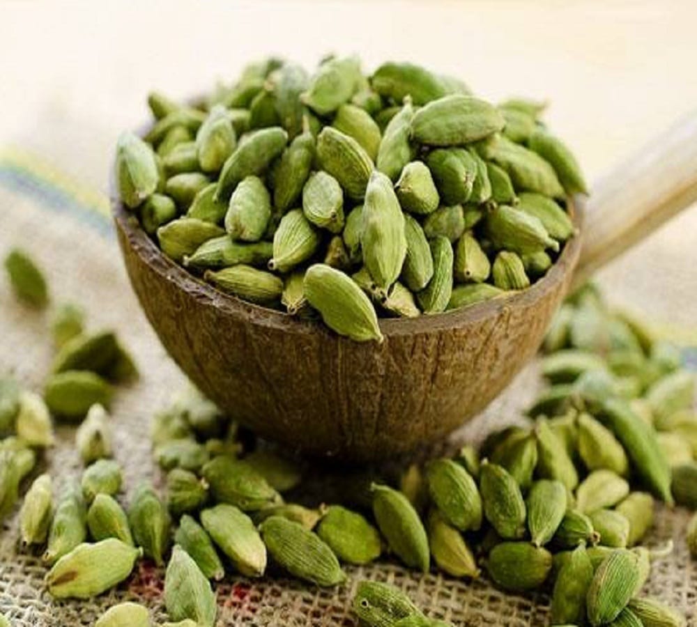 bike loot through Drug-add cardamom in dehradun