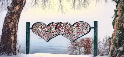 viral shayaris on social media