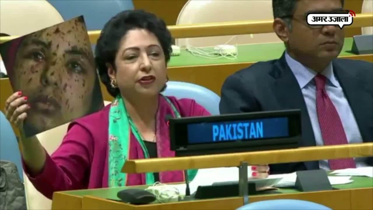 पाक का झूठ