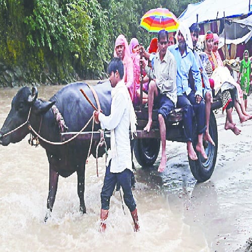 The lives of the devotees put their lives at risk, see photos