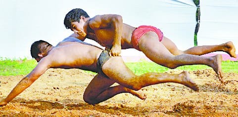 Haryana's daughters will fight in their cities