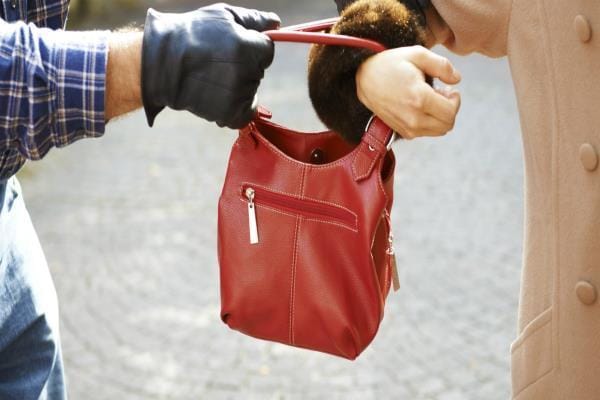 purse snaching in jammu