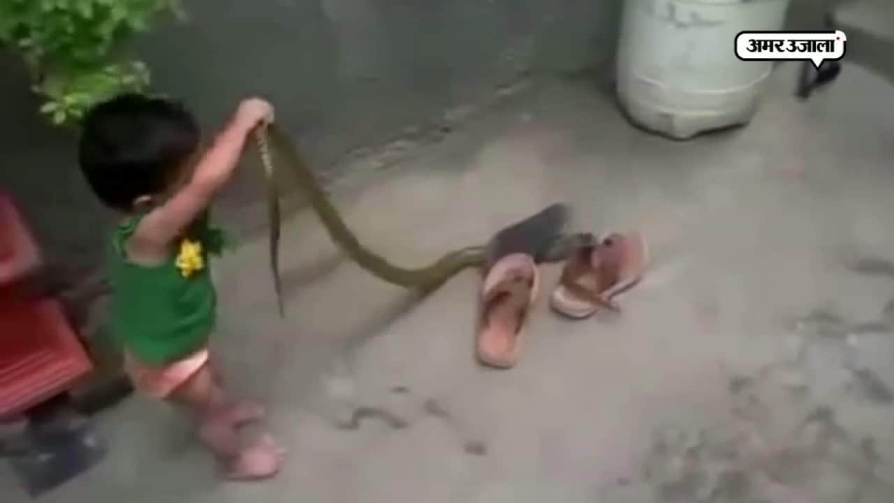 कोबरा के साथ बच्ची