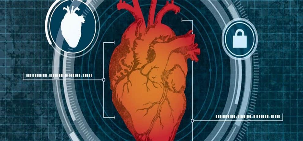 scientists claim animal organ to successfully transplant in human