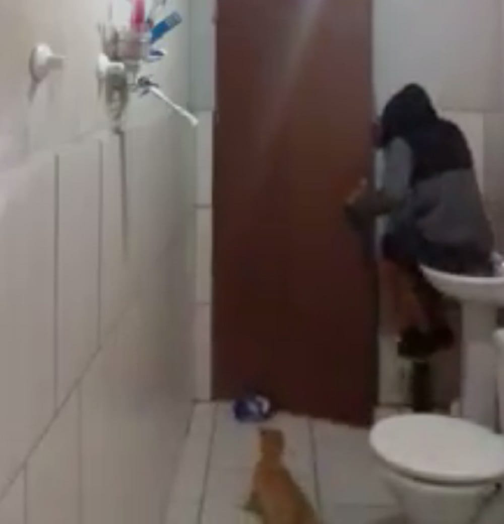 Watch Funny Video Of How Cat and Man Ran Away Seeing Rat In Bathroom