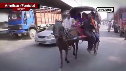 Amritsar’s once famous ‘Tonga cart’ now fading away from streets