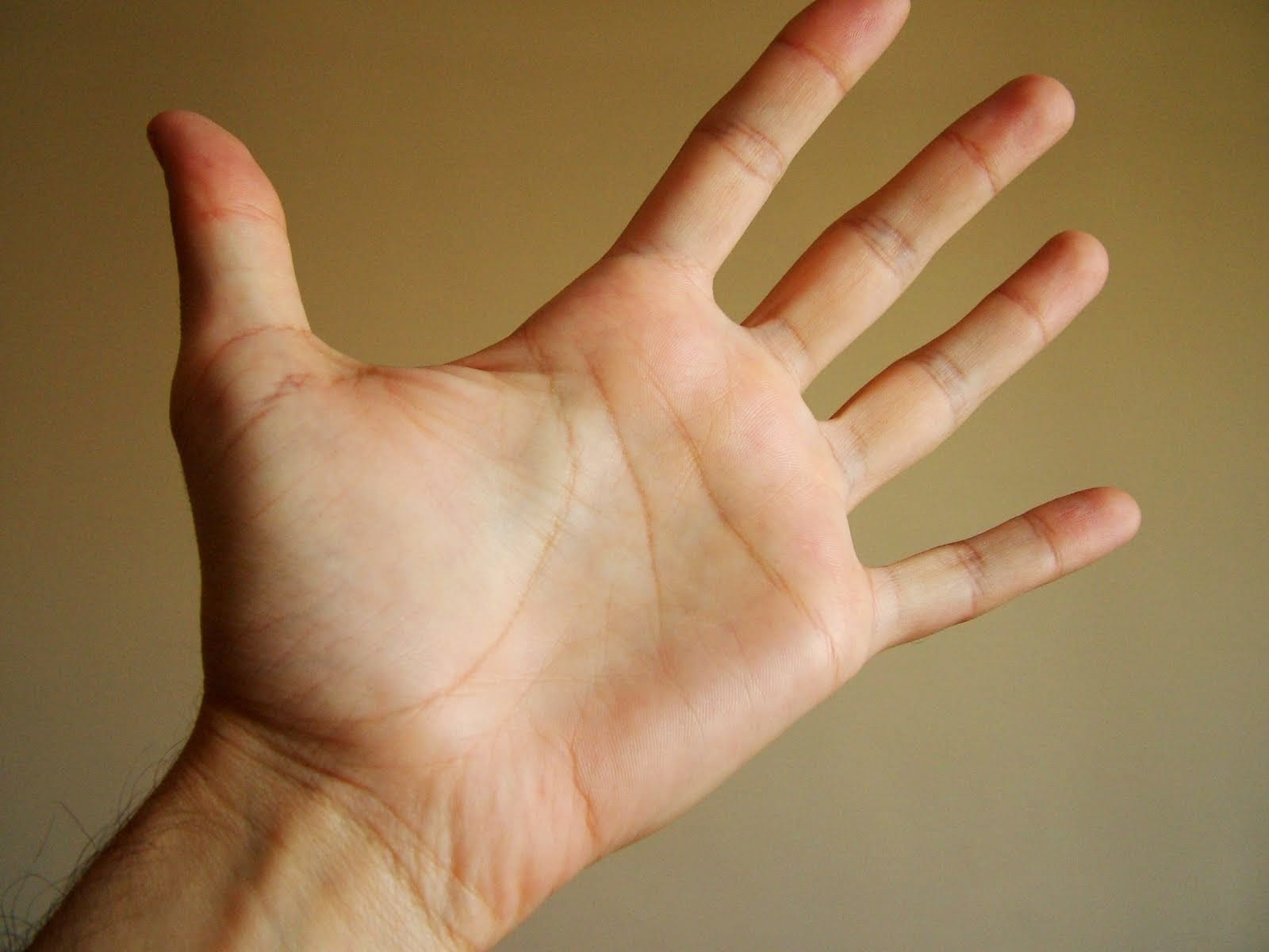 such people become millionaires, these lines and marks on hand