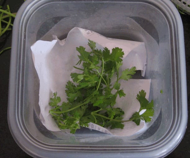 try these tips to store Coriander leaves fresh for long time