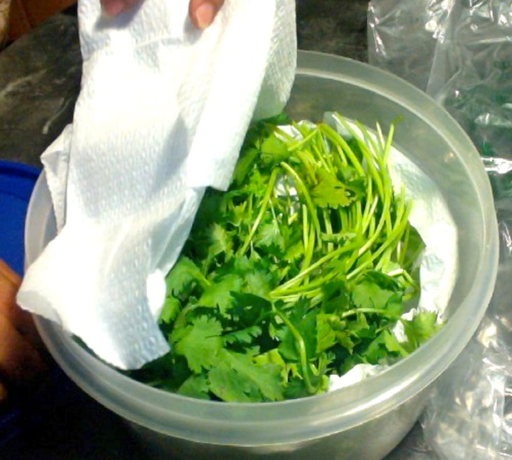 try these tips to store Coriander leaves fresh for long time