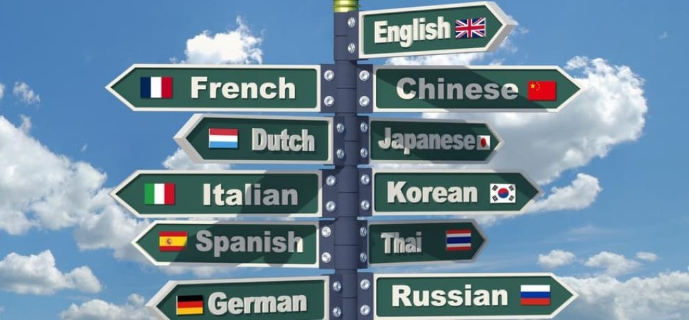 countries have the most official languages